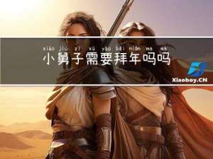 小舅子需要拜年吗吗