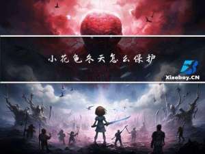 小花龟冬天怎么保护