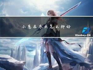 小葱在冬天怎么种好