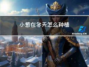 小葱在冬天怎么种植