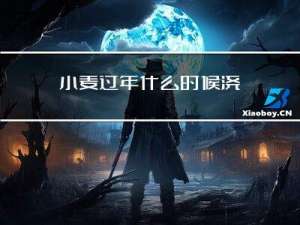 小麦过年什么时候浇