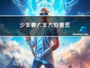 少年黄大年大致意思