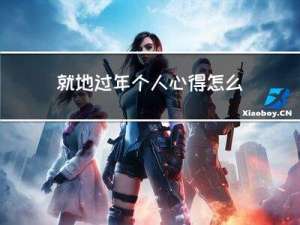 就地过年个人心得怎么写