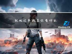 就地过年政策你有什么看法