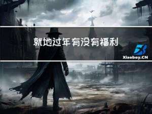 就地过年有没有福利