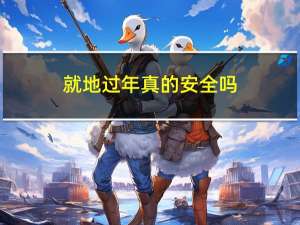 就地过年真的安全吗