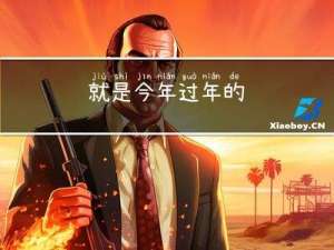 就是今年过年的