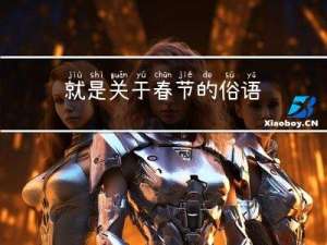 就是关于春节的俗语