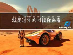 就是过年的时候你来看我