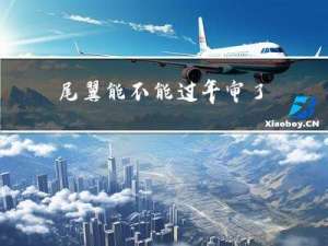 尾翼能不能过年审了