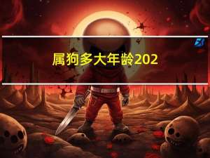 属狗多大年龄202