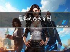 属狗的多大年龄