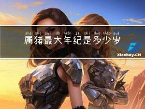 属猪最大年纪是多少岁