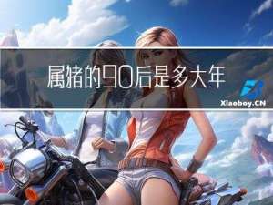 属猪的90后是多大年纪