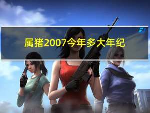 属猪2007今年多大年纪