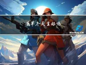 属羊冬天生好吗