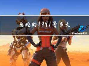 属蛇的1991年多大年龄