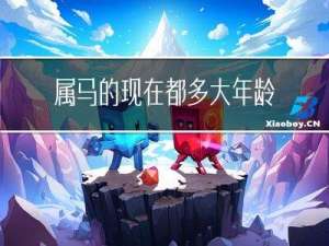 属马的现在都多大年龄