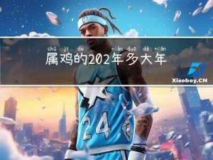 属鸡的202年多大年龄