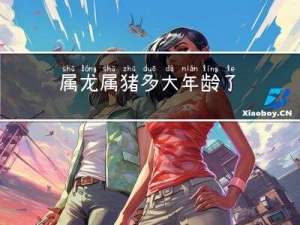 属龙属猪多大年龄了