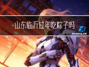 山东临沂过年吃粽子吗作文