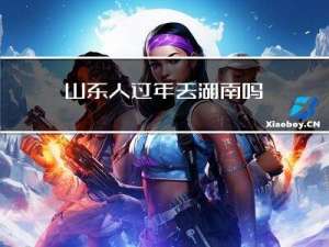 山东人过年去湖南吗