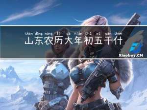 山东农历大年初五干什么