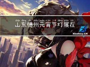山东德州元宵节灯展在哪里