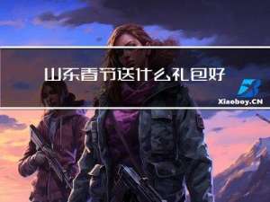 山东春节送什么礼包好