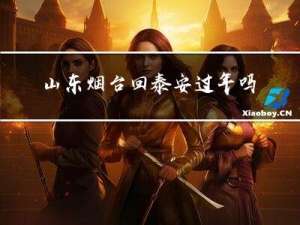 山东烟台回泰安过年吗
