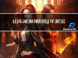 山东能源集团过年奖金多少