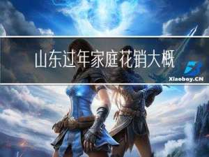 山东过年家庭花销大概多少