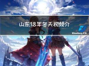 山东18年冬天视频介绍