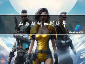山西朔州如何拜年