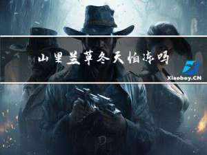 山里兰草冬天怕冻吗