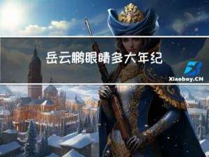 岳云鹏眼睛多大年纪
