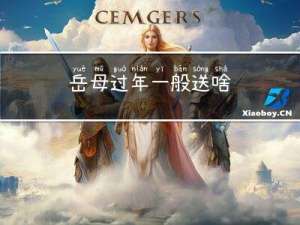 岳母过年一般送啥