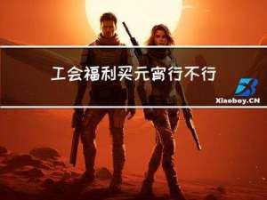 工会福利买元宵行不行