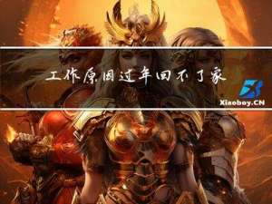 工作原因过年回不了家了