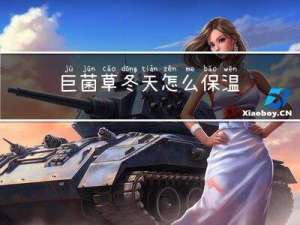 巨菌草冬天怎么保温