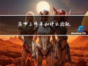 巫师三拜年和什么搭配好看