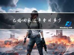 已婚回家过年费用多少合适