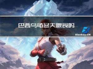 巴西乌龟冬天喂食吗