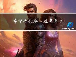 希望你们安心过年怎么翻译