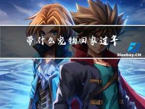 带什么宠物回家过年