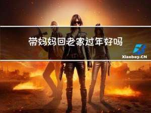 带妈妈回老家过年好吗