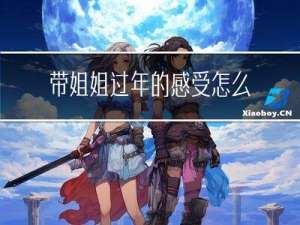 带姐姐过年的感受怎么写