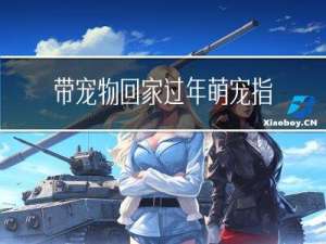 带宠物回家过年萌宠指南