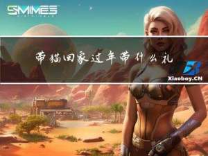 带猫回家过年带什么礼物