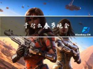 干什么春节晚会